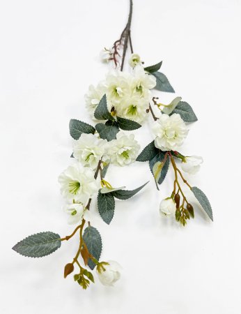 Сакура "Самурайский бутон" белая