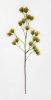 Ветка декоративная "Золотая пора"
