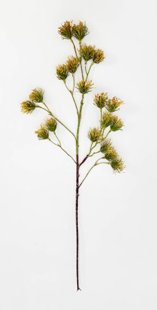 Ветка декоративная "Золотая пора"