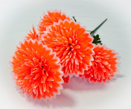 Букет астры " Седая" 7 веток 7 цветков