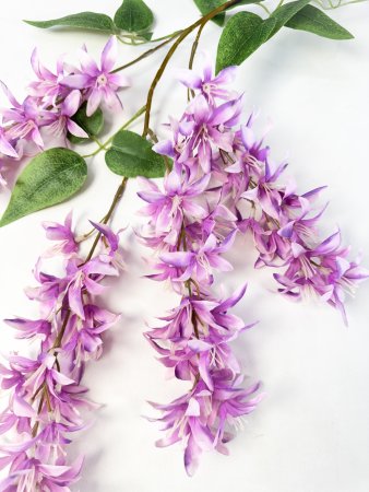 Глициния шелковистая розовая