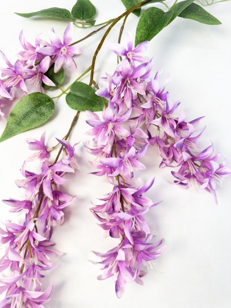 Глициния шелковистая розовая