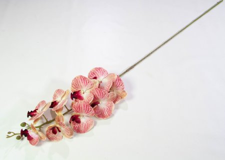 Ветка орхидеи 18