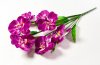 Букет орхидеи 10 веток 10 цветков