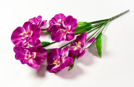 Букет орхидеи 10 веток 10 цветков