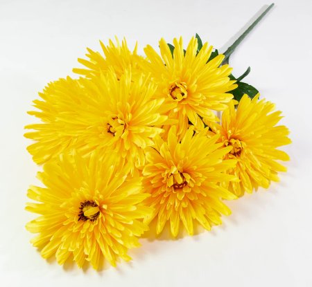 Хризантема "Танго" 7 цветков