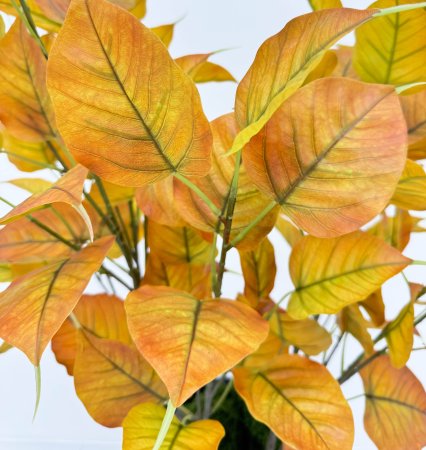 картинка Тополь осенний большая ветка от магазина KALINA