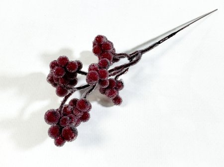 Ветка с мелкими красными ягодами в инее