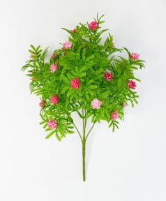 Букет "Катюша" 5 веток красный