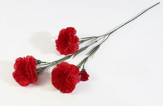 Ветка гвоздики 3 цветка 2 бутона красная от магазина KALINA являющийся официальным дистрибьютором в России 