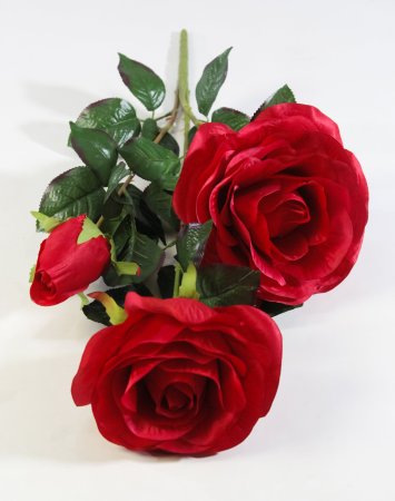 Ветка роз "Фан-фан"