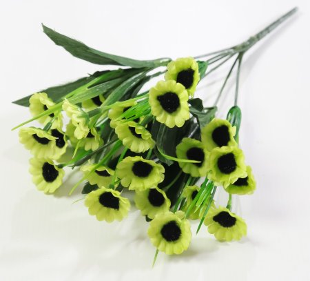 Ромашка "Эллиот" 24 цветка