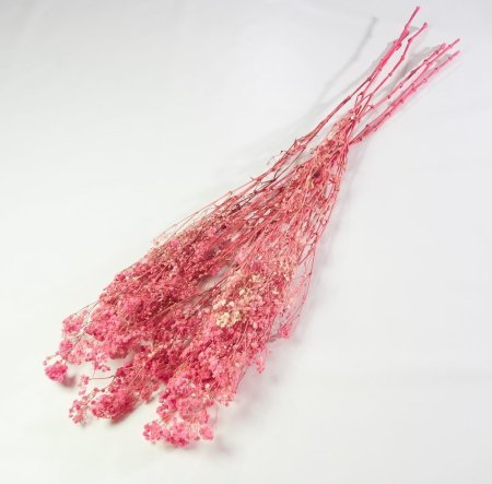 Гипсофила 6