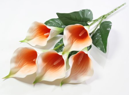 Букет калла 5 цветков