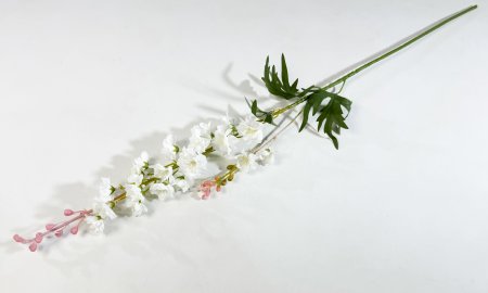 Дельфиниум Галант