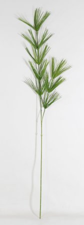 картинка Хвощ лесной зеленый от магазина KALINA