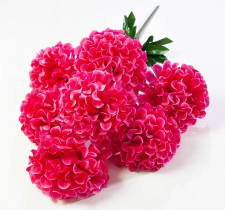 Шафран махровый 7 веток