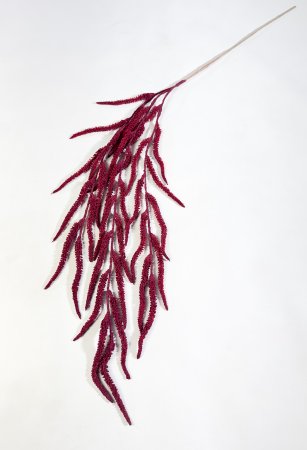 Амарант бордовый