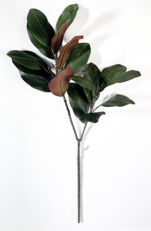 картинка Ветка магнолии "Лето" 17 листов от магазина KALINA