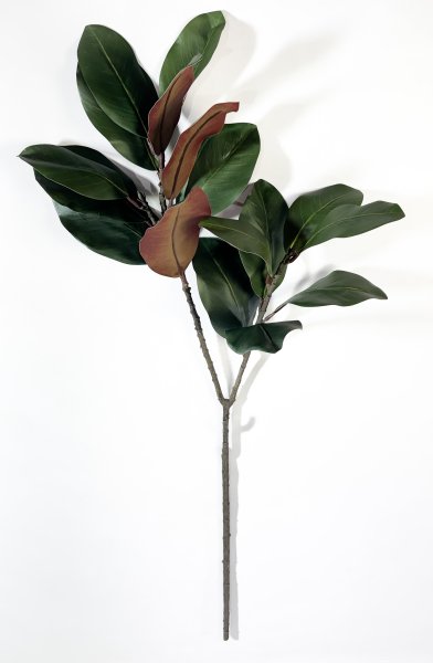 картинка Ветка магнолии "Лето" 17 листов от магазина KALINA