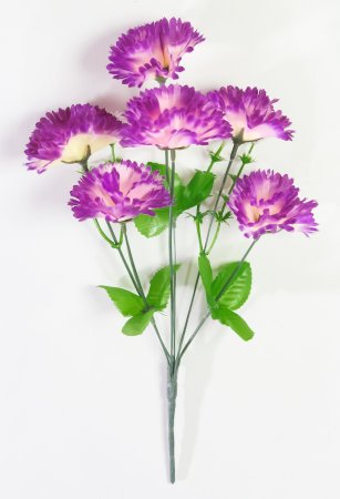 Букет гвоздик "Ривьера" 6 цветков