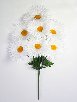 Ромашка "Голиаф" 7 цветков от магазина KALINA являющийся официальным дистрибьютором в России 