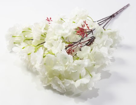 Ветка яблони 5 веток