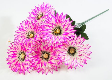 Букет астры " Краб"