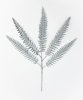 Папоротник серебро