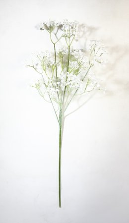 Гипсофила "Изящная" белая