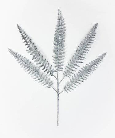 Папоротник серебро
