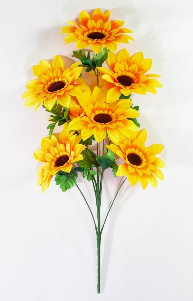 Подсолнух гигант