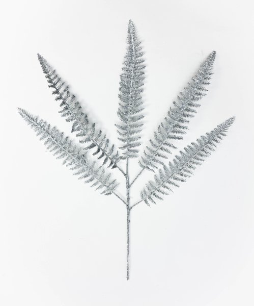 Папоротник серебро