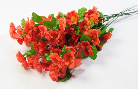 Ветка с ромашками Тиона