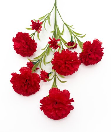 Ветка гвоздики 5 цветков 5 бутонов