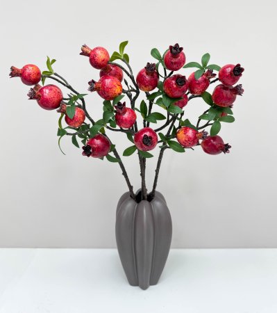 Ветка граната 5 плодов