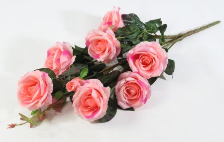 Ветка роз "Альф" 7 цветков 2 бутона