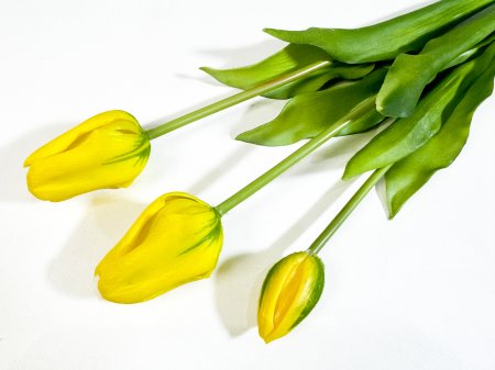 Тюльпан "Пепл Принц" желтый (2+1)