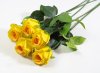 Роза с латексным покрытием желтая