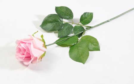 Роза с латексным покрытием светло-розовая