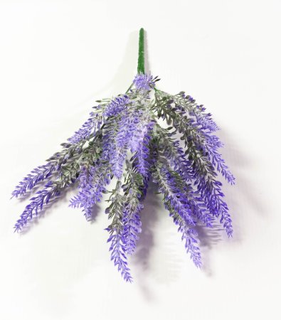 Букет лаванды 5 веток