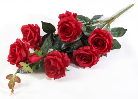 Ветка роз "Альф" 7 цветков 2 бутона