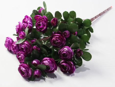 Ранункулюс 36 цветков