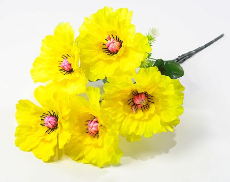 Георгин "Августа" 5 цветков от магазина KALINA являющийся официальным дистрибьютором в России 