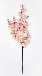 Сакура "Ветка Ханами" чайная