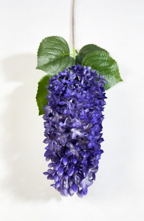 Ветка сирени крупное соцветие