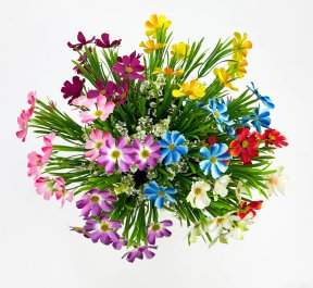 Космея "Алёшина" 10 цветков