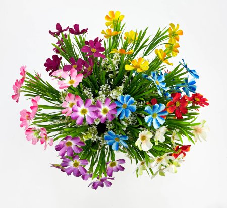 Космея "Алёшина" 10 цветков