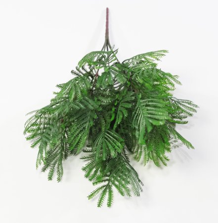 картинка Букет альбиции Лето от магазина KALINA