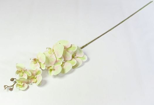 Ветка орхидеи 32 от магазина KALINA являющийся официальным дистрибьютором в России 